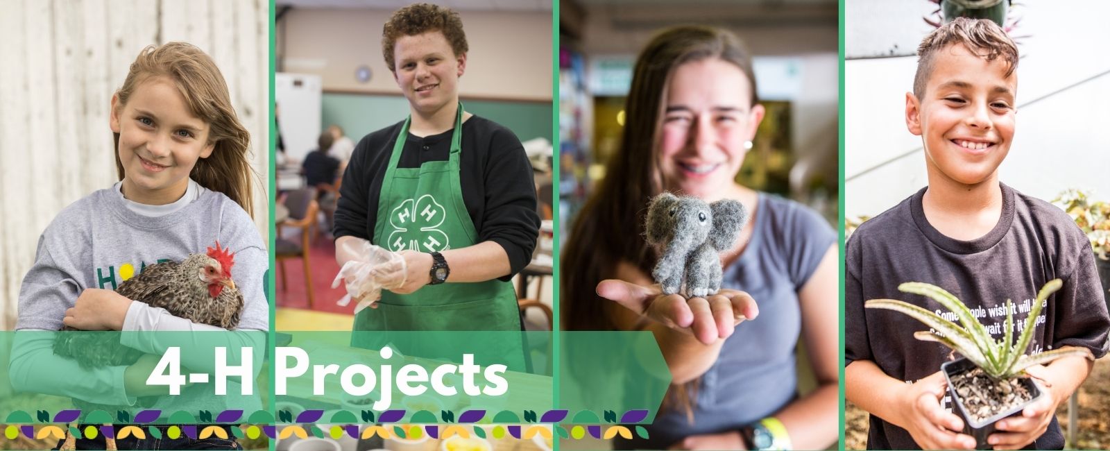 4-H-Projects Banner with Text