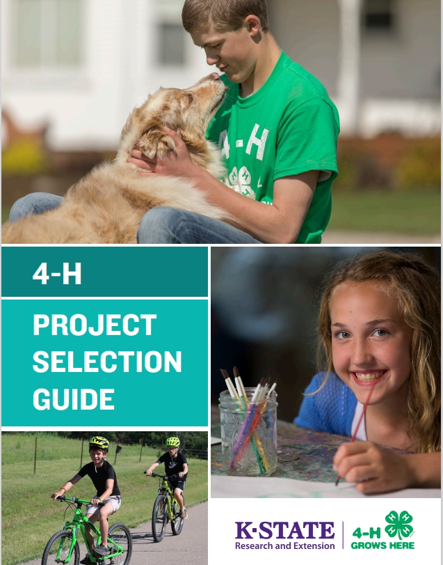 Project Selection Guide Cover