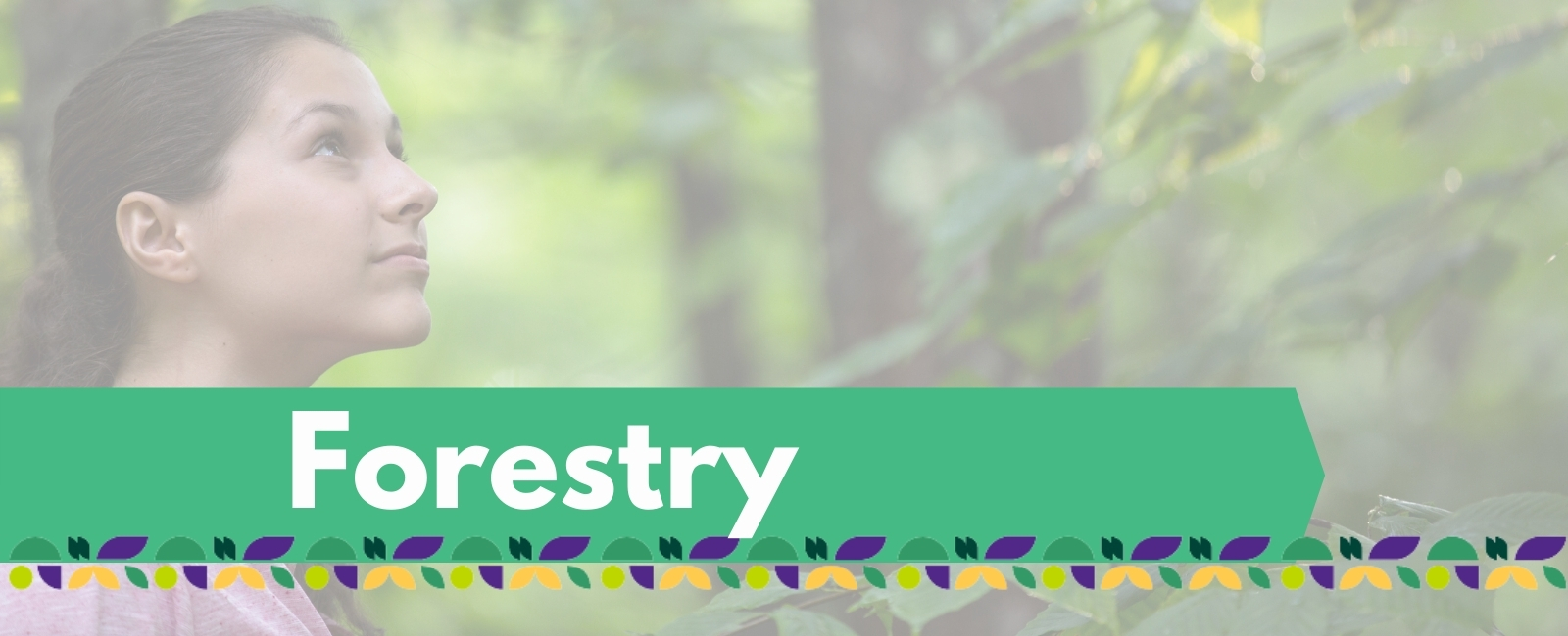 Forestry-Banner-with Text