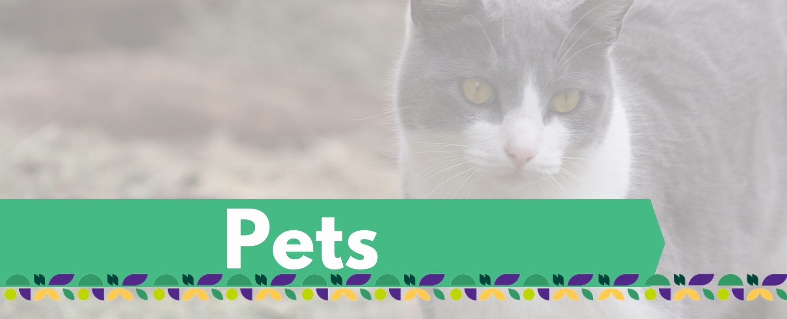 Pets Project Banner with Text